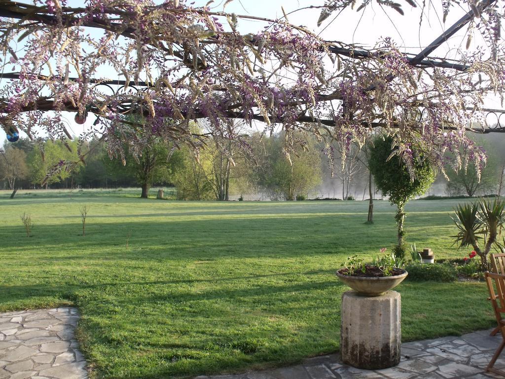 La Ferté-Saint-Cyr Althaea Bed & Breakfast エクステリア 写真